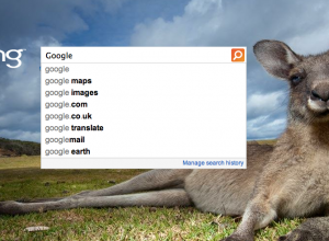 Bing Search Share