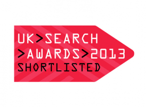 UK Search Awards 2013