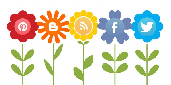 social icons