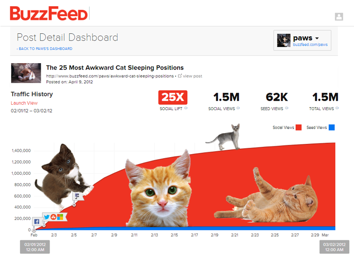 Cat Analytics2