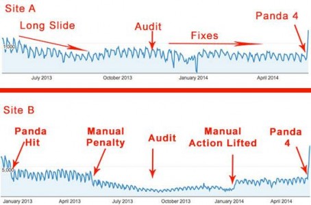 Panda 4 increased visibility