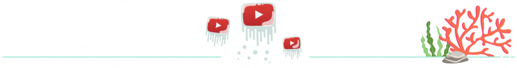 Youtube SEO