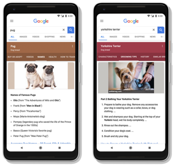 Google topic layer